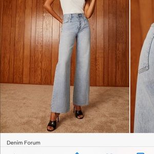 Aritzia Denim